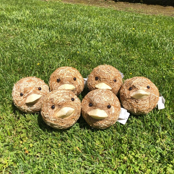 NWT Pier 1 Imports Decorative Natural Vase Filler - Picture 12 of 13